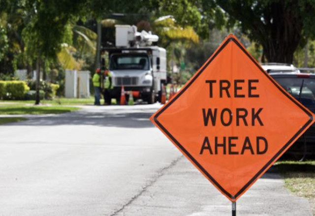 tree removal East Prospect pa
