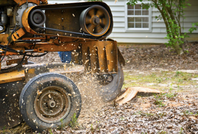 stump grinding york pa